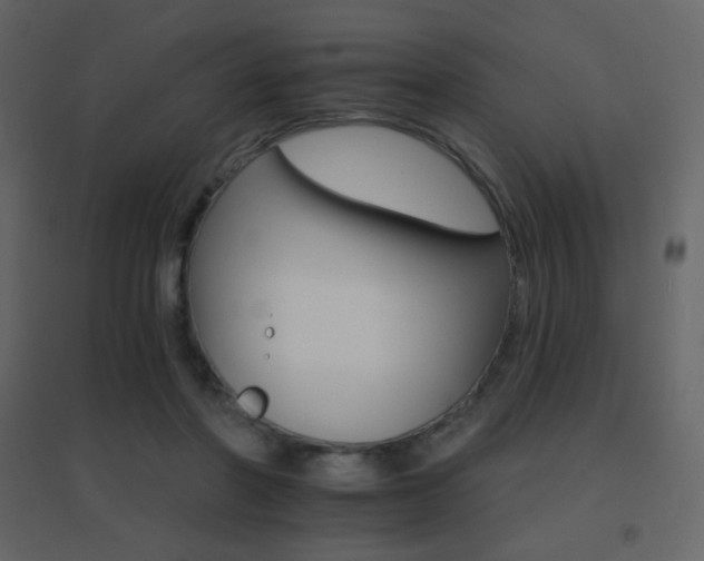 X0000096690406200802051351