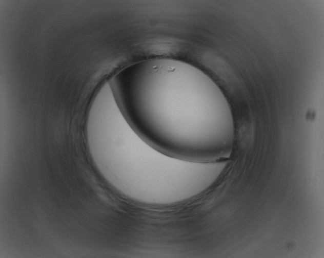 X0000096690407200802051351