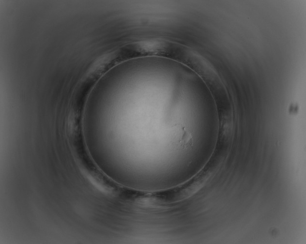 X0000096690408200802051351