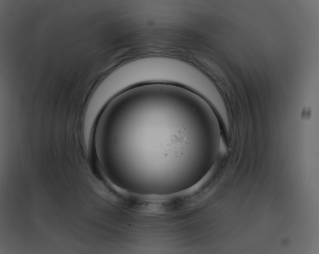 X0000096690409200802051351