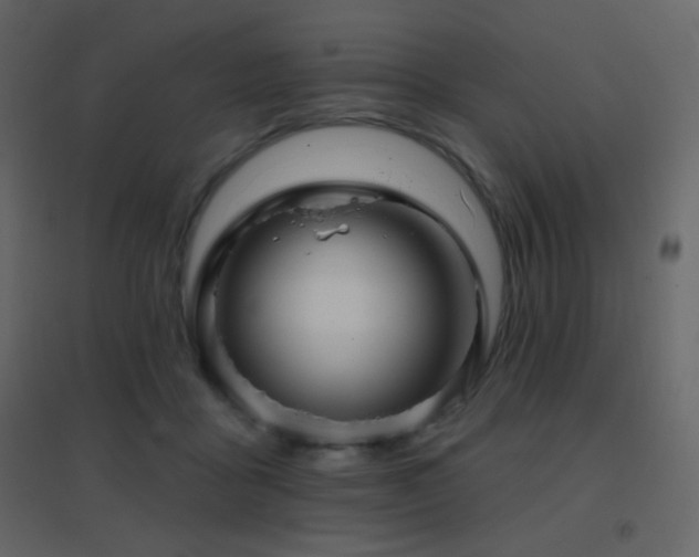 X0000096690411200802051351