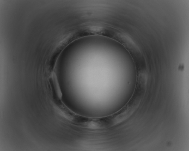 X0000096690412200802051351