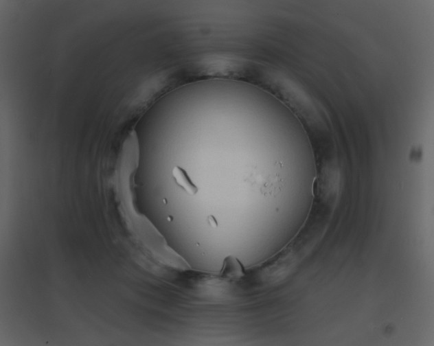 X0000096690413200802051351