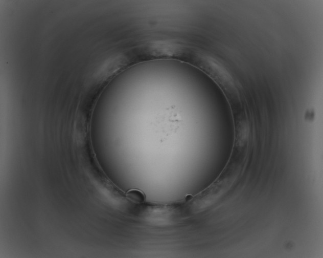 X0000096690414200802051351