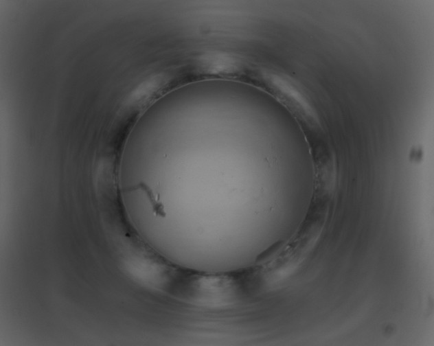 X0000096690415200802051351