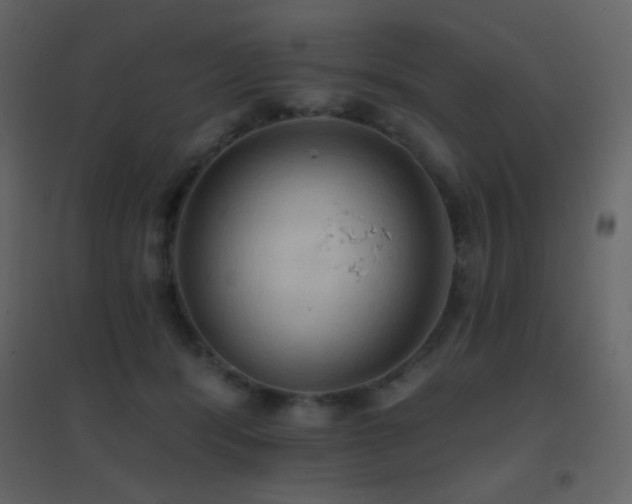 X0000096690416200802051351