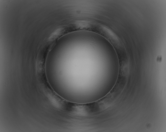 X0000096690417200802051351