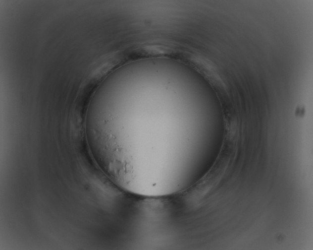 X0000096690418200802051351