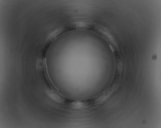 X0000096690419200802051351