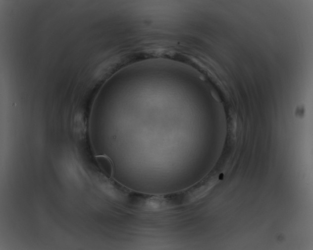 X0000096690420200802051351