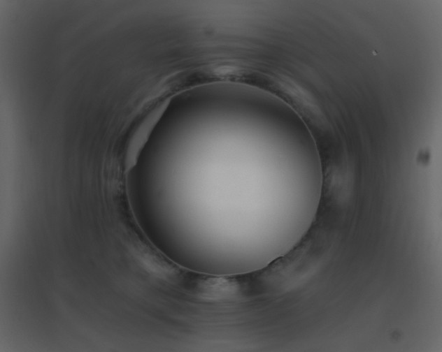 X0000096690421200802051351