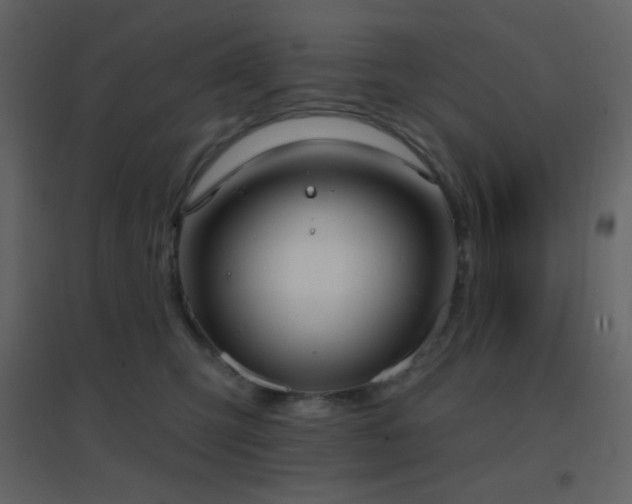 X0000096690423200802051351