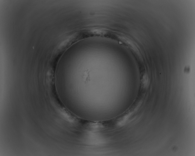 X0000096690424200802051351