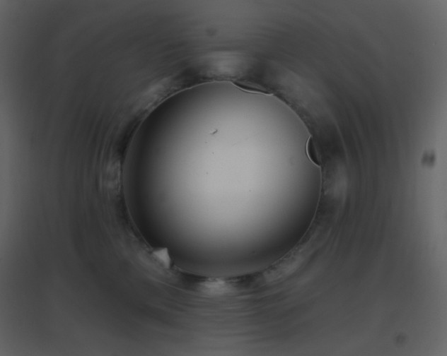 X0000096690425200802051351