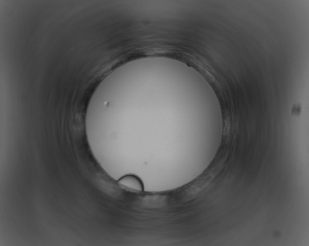 X0000096690426200802051351