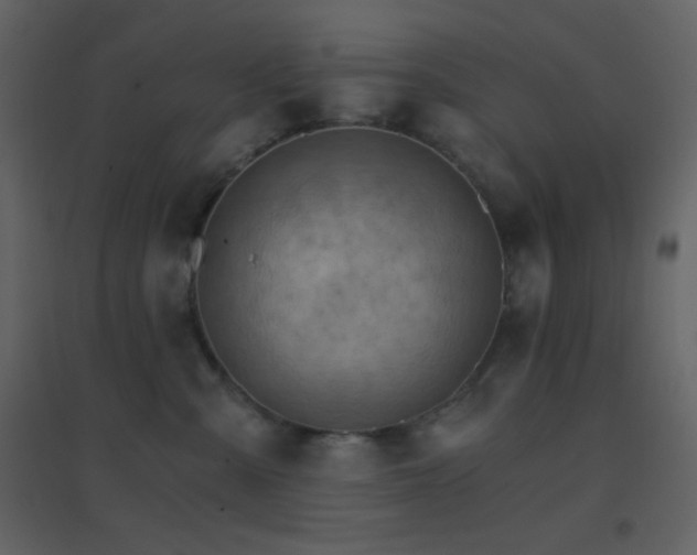 X0000096690427200802051351