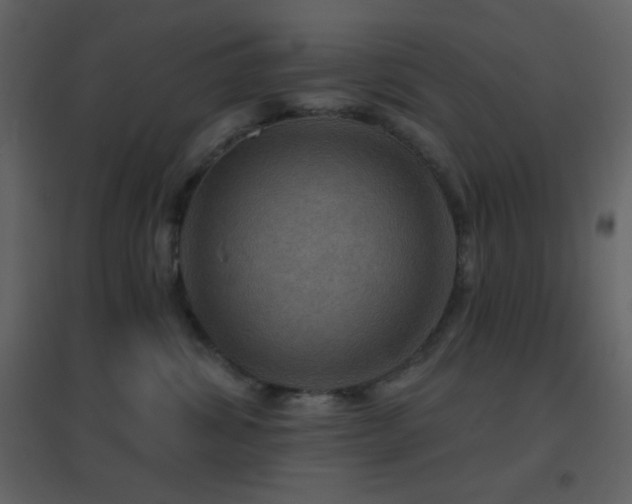 X0000096690428200802051351