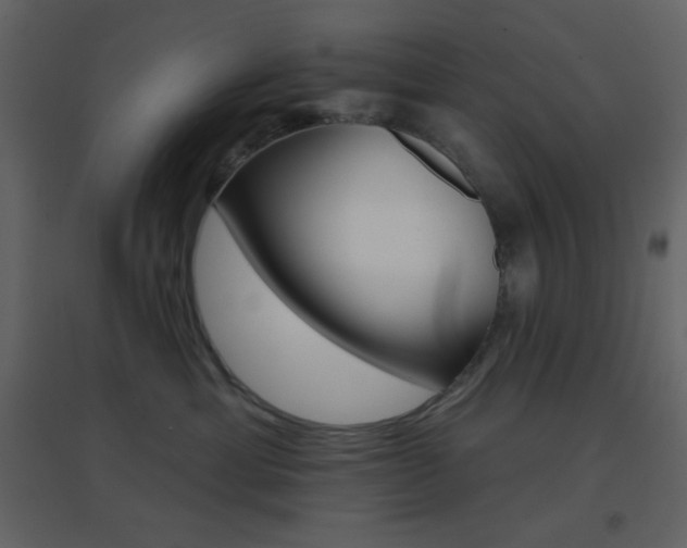 X0000096690429200802051351