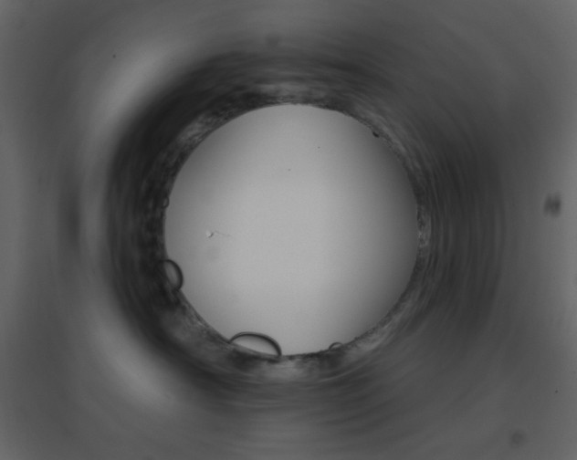 X0000096690430200802051351