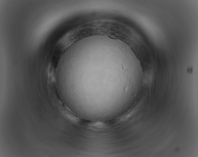 X0000096690431200802051351