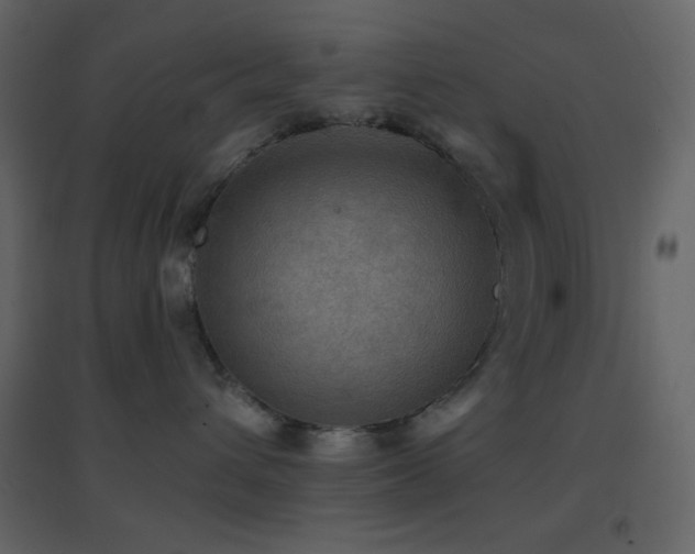 X0000096690432200802051351