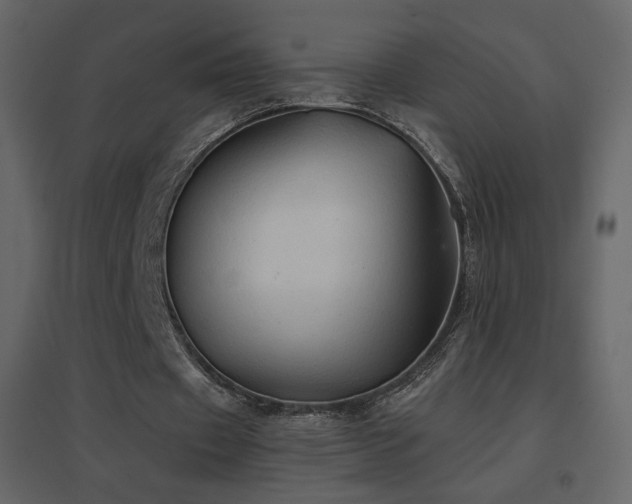 X0000096690433200802051350