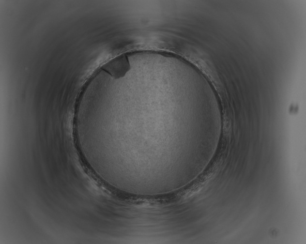 X0000096690434200802051350