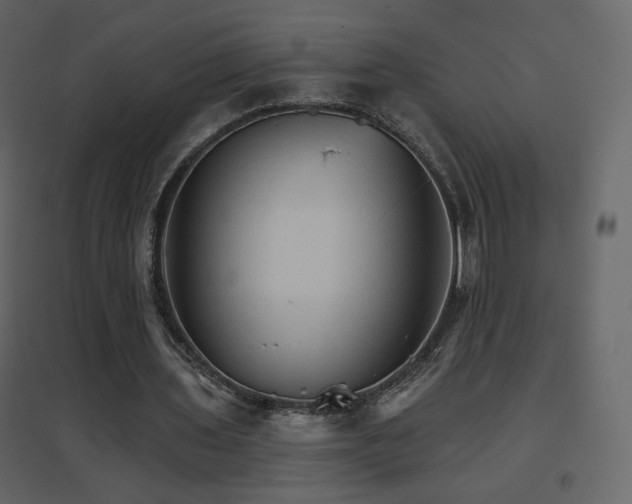 X0000096690435200802051350