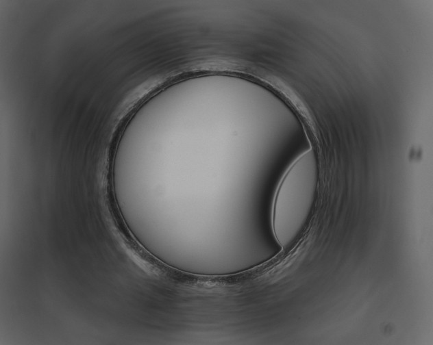 X0000096690437200802051350