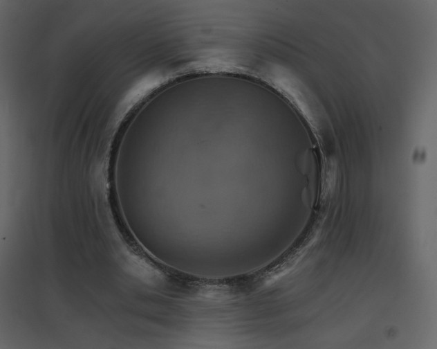 X0000096690438200802051350