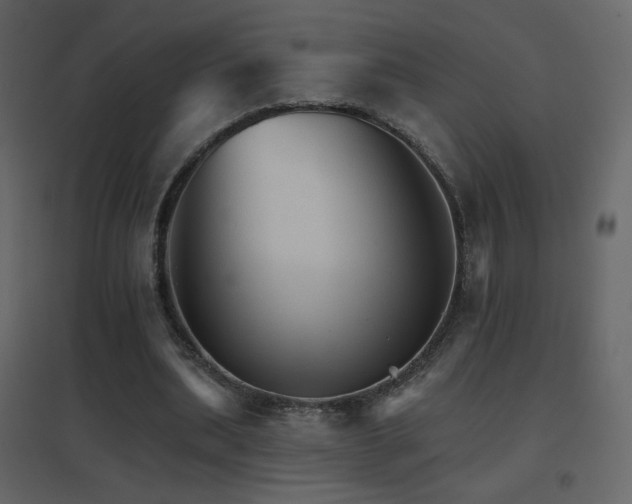 X0000096690439200802051350