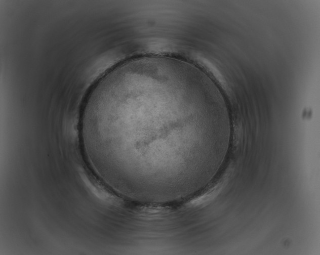 X0000096690443200802051350