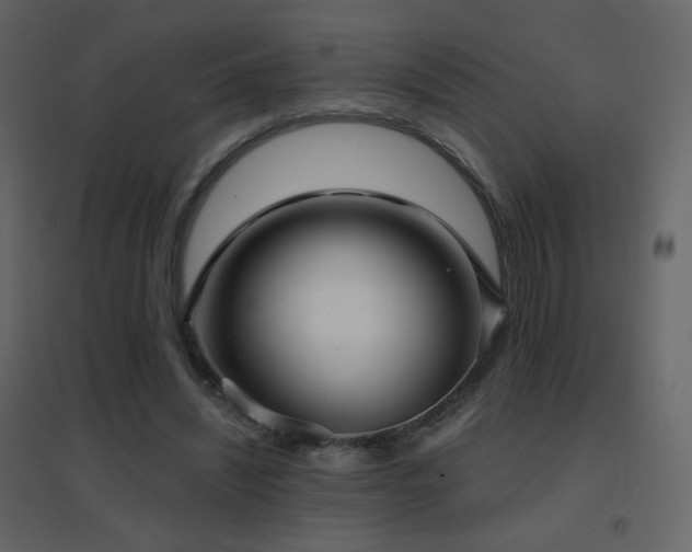 X0000096690444200802051350