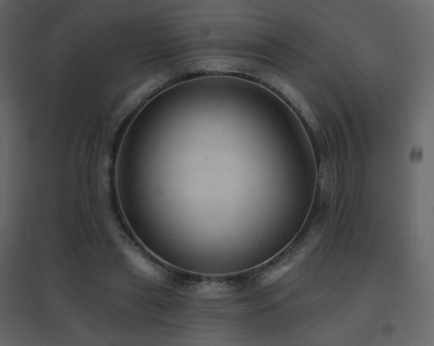 X0000096690445200802051350