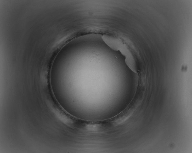 X0000096690450200802051350