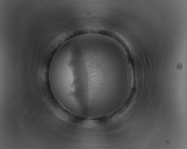 X0000096690451200802051350