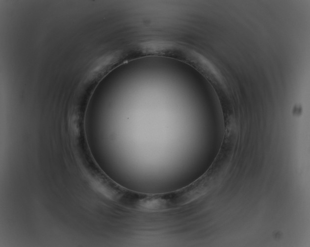 X0000096690452200802051351