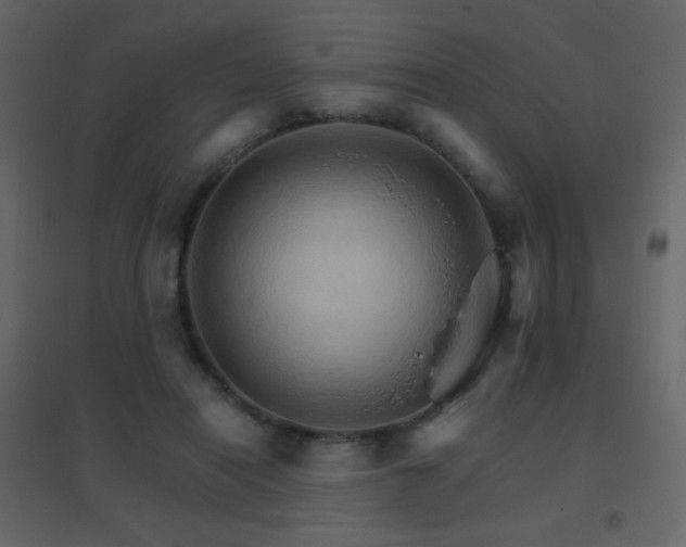 X0000096690454200802051351