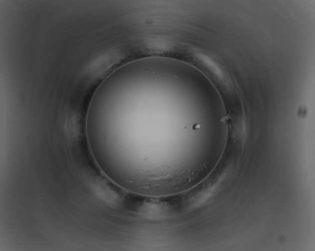 X0000096690455200802051351