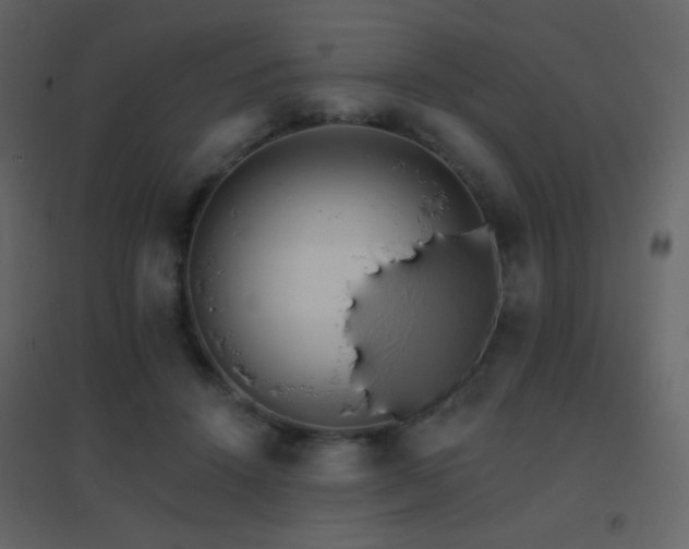 X0000096690456200802051351