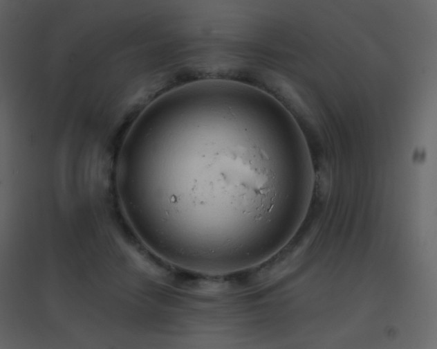 X0000096690458200802051351