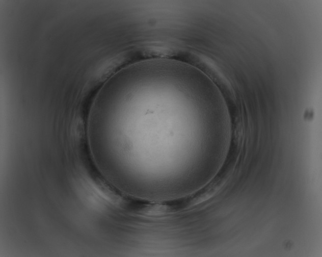 X0000096690459200802051351