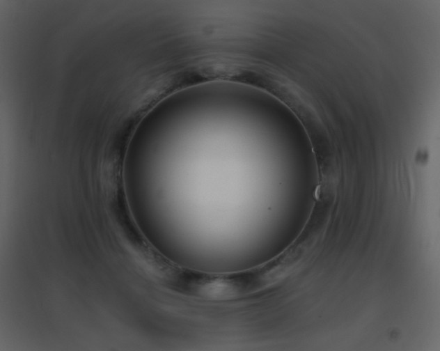 X0000096690460200802051351