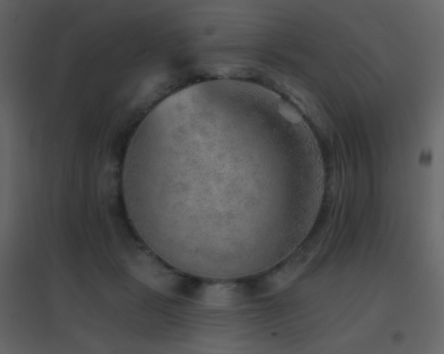 X0000096690461200802051351