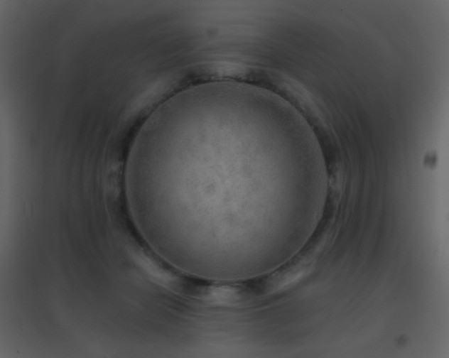 X0000096690462200802051351