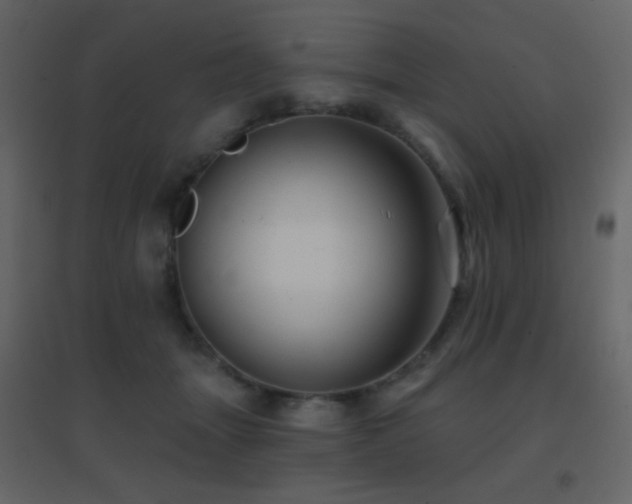 X0000096690463200802051351