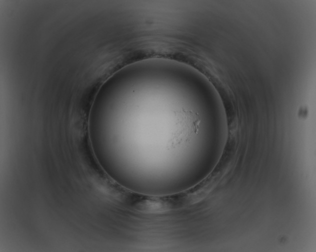 X0000096690464200802051351