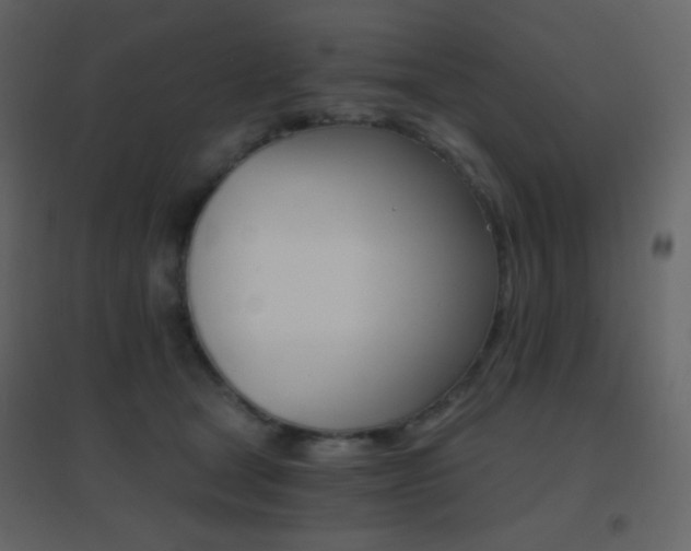 X0000096690465200802051351