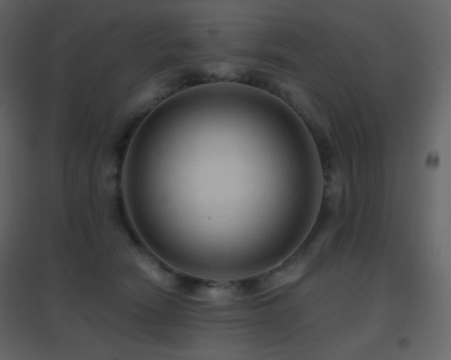 X0000096690466200802051351