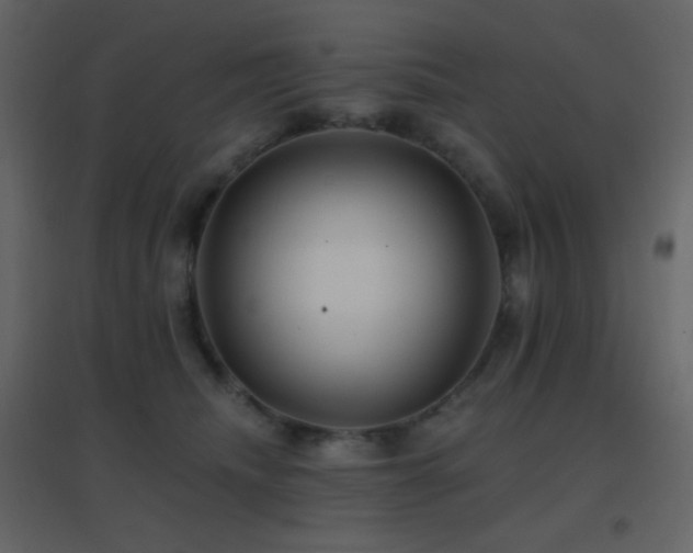 X0000096690468200802051351